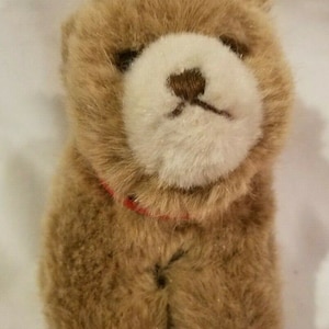 Vintage Steiff -Browny The Grizzly Bear- Plush Teddy Animal -1445/12-