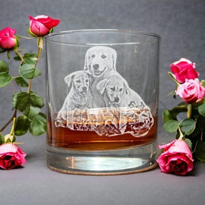 May include: A clear tumbler glass featuring an etched design of a dog and two puppies. The glass contains a brown liquid. Pink roses are arranged around the glass. The etched image is a light colour, contrasting with the liquid.