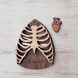 Pectus Excavatum Ornament, Nuss