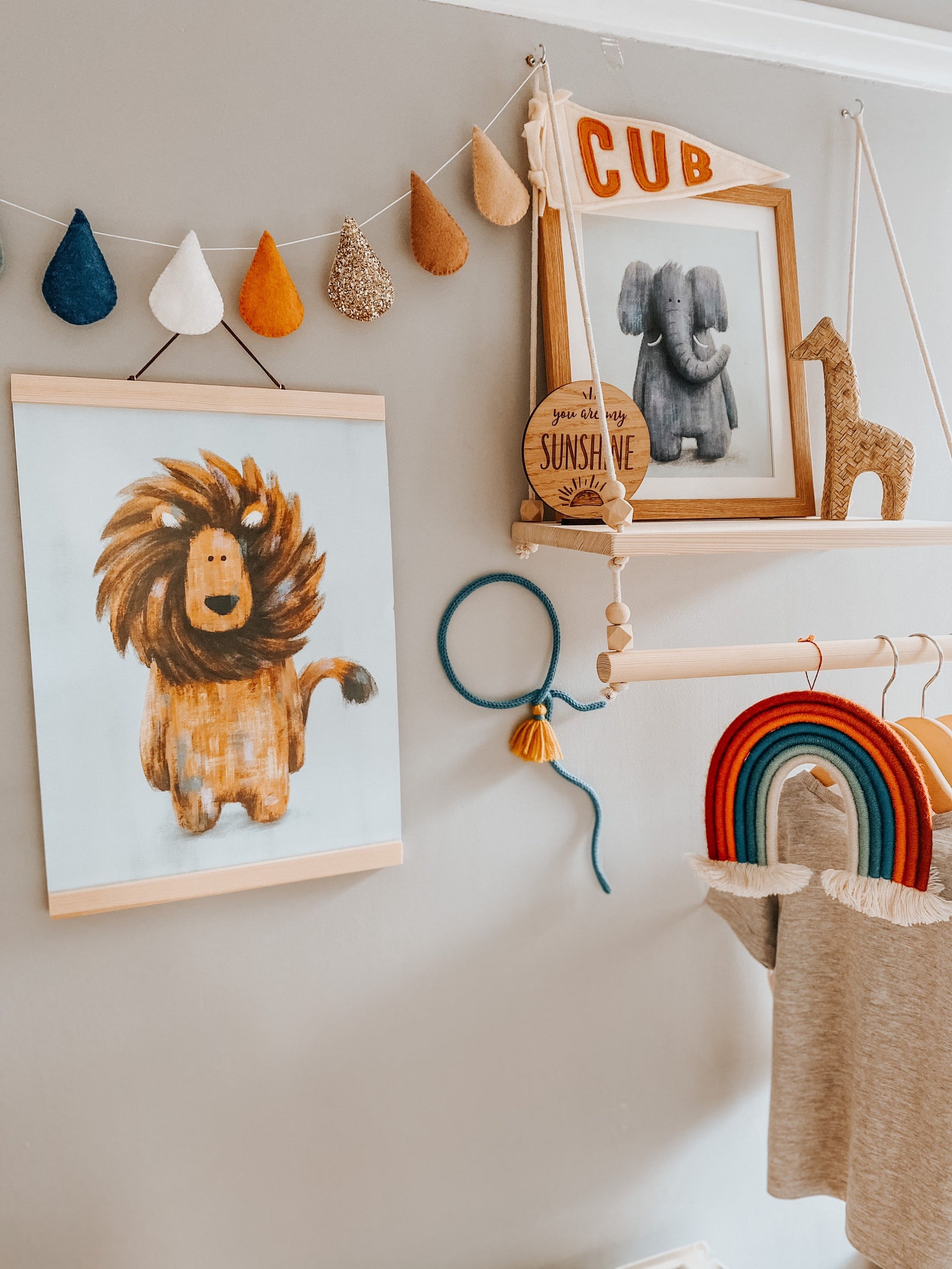 Lion essay in english for class 1 picture