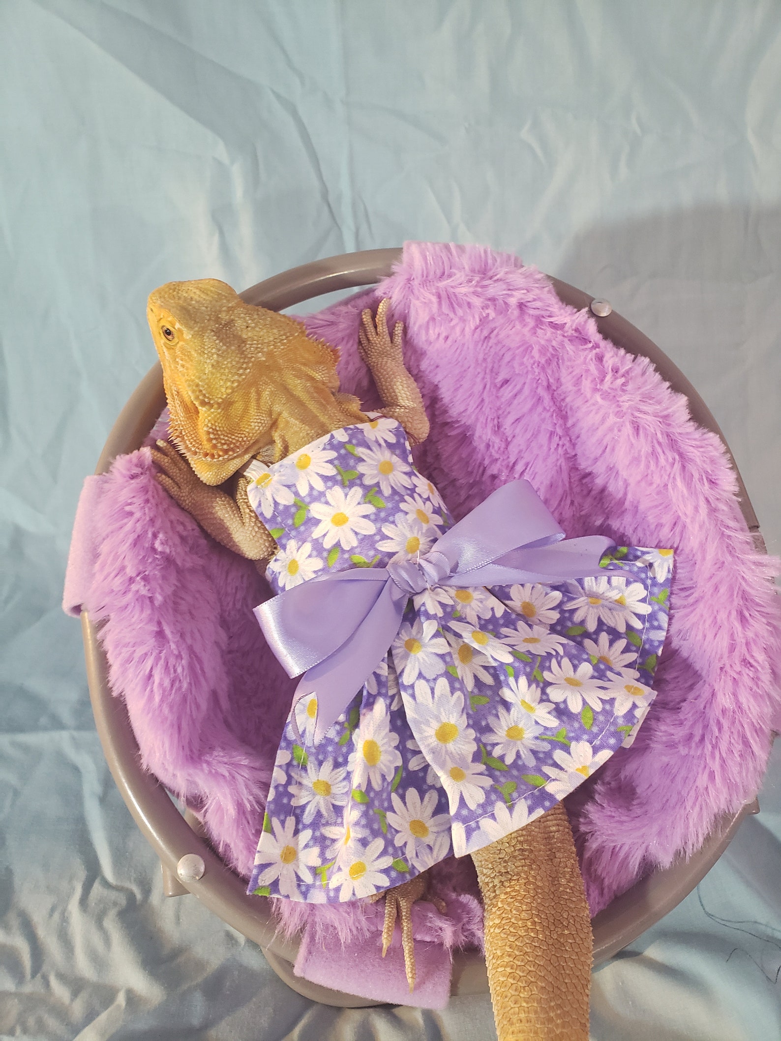 Lizard DressesFAST PROCCESSING TIME Etsy