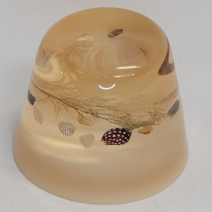 Vintage Art Glass Shells Beach Paperweight Clear Glass Lucite 1970s