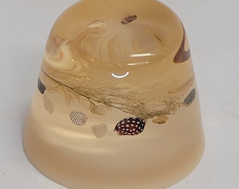 Vintage Art Glass Shells Beach Paperweight Clear Glass Lucite 1970s
