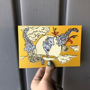Ode à l’opossum : la carte de nadia
