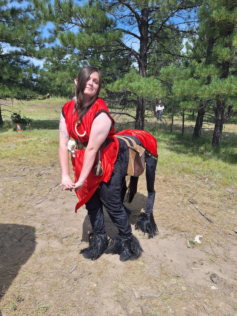 Walking Centaur Costume - How to Guide - Etsy
