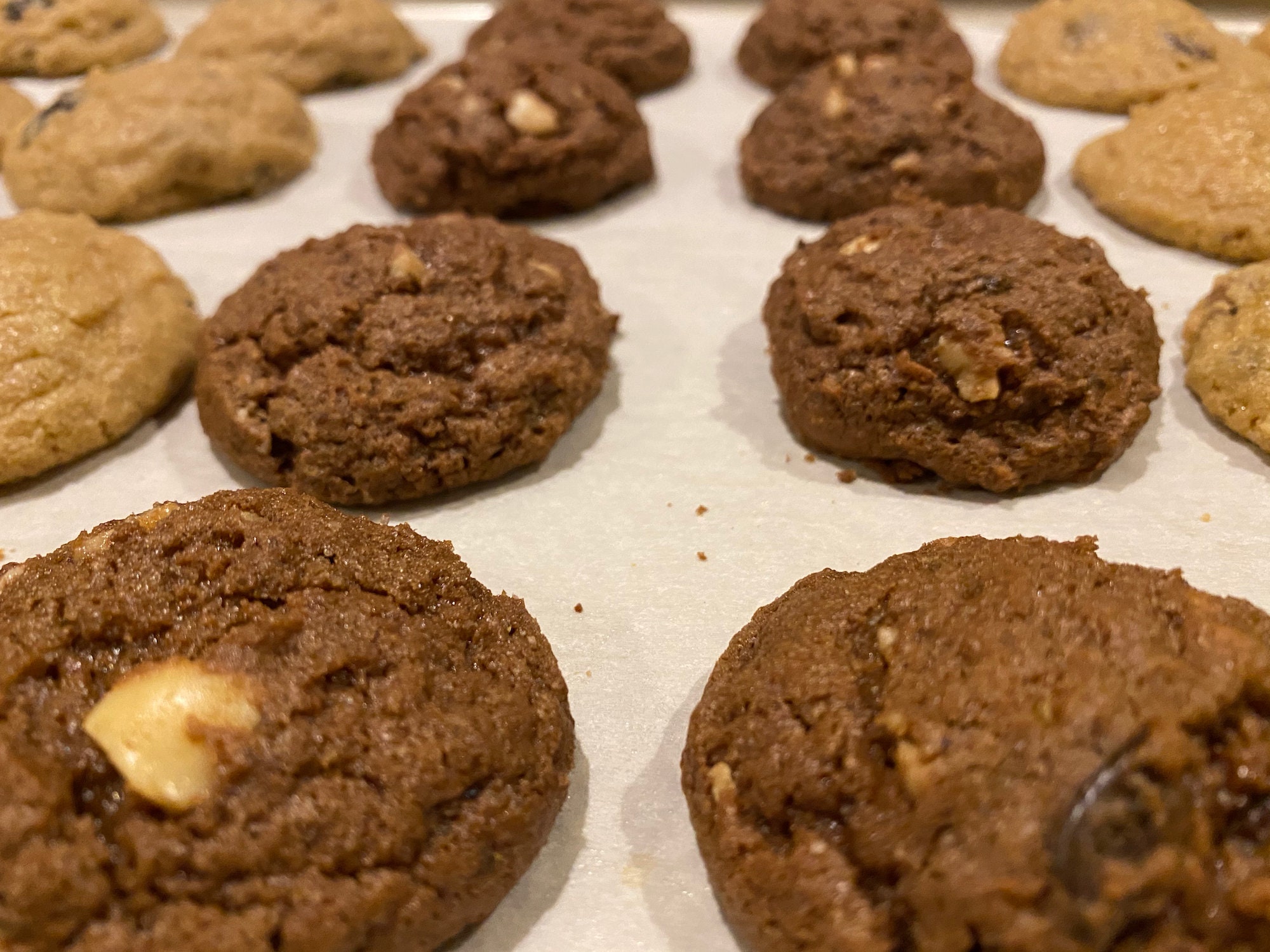 Cocoa Chocolate Chip Cookies. 20 Deliciously decadent cookies Etsy