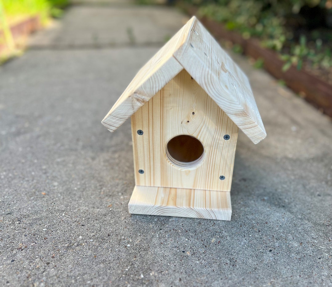 DIY Birdhouse Kit Pine Wood, Interactive DIY Kit for Kids, Craft Kit