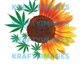Download Weed Pot Sunflower Etsy