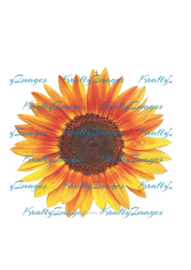 Free Free Rustic Sunflower Svg 934 SVG PNG EPS DXF File