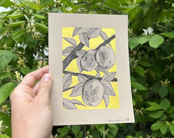 May include: A pen and ink illustration of peaches on a branch, set against a gold background. The artwork is framed in a neutral-toned mat. The drawing features detailed shading and line work, with a signature in the lower right corner. The overall theme is botanical art.