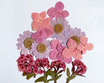 Pressed flowers, Purple Pressed flowers,16 PCS/Pack, Purple mixed pack,Pressed Dried Flowers,Purple dry flowers