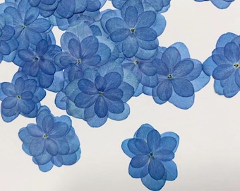 Pressed flowers,Blue Dried Pressed Hydrangea Flowers 12pcs/Pack, Blue Dry Flowers,Dried Flowers,Pressed Flat Flowers Hydrangea