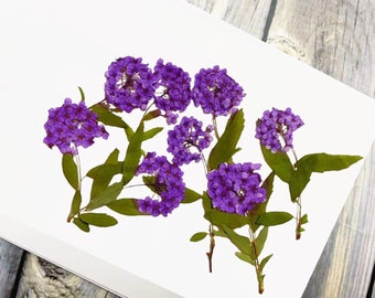 May include: A close-up of a white card featuring pressed purple flowers with green leaves. The flowers are clustered together, creating a vibrant contrast against the white background. The card is placed on a wooden surface.