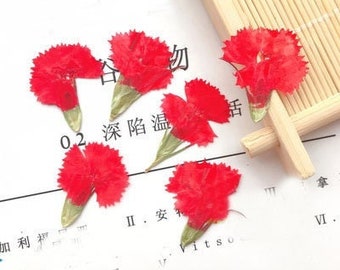 赤いカーネーションの押し花 - レジンアート用 6個