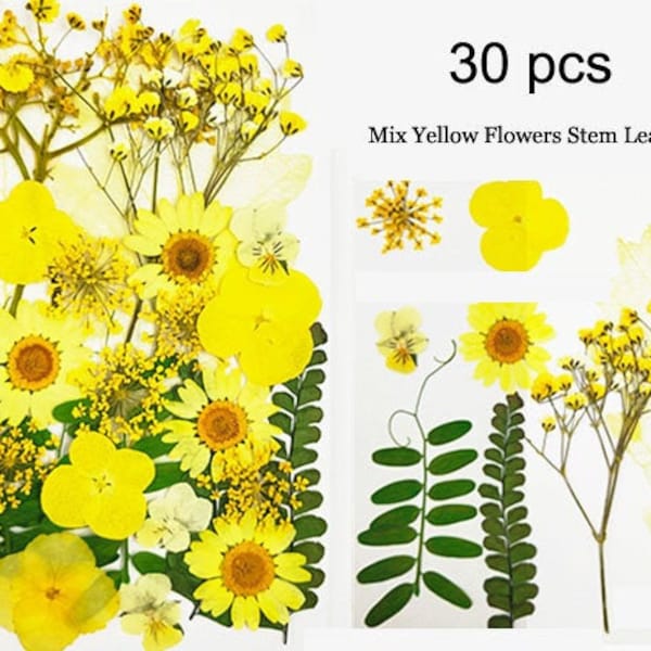 30pcs Dry Real Pressed Flowers,Mix Assorted Preserved Yellow Wild Flower Stem Leaf Petal,Pressed Flat Dried Flower Preserved Flat Wildflower