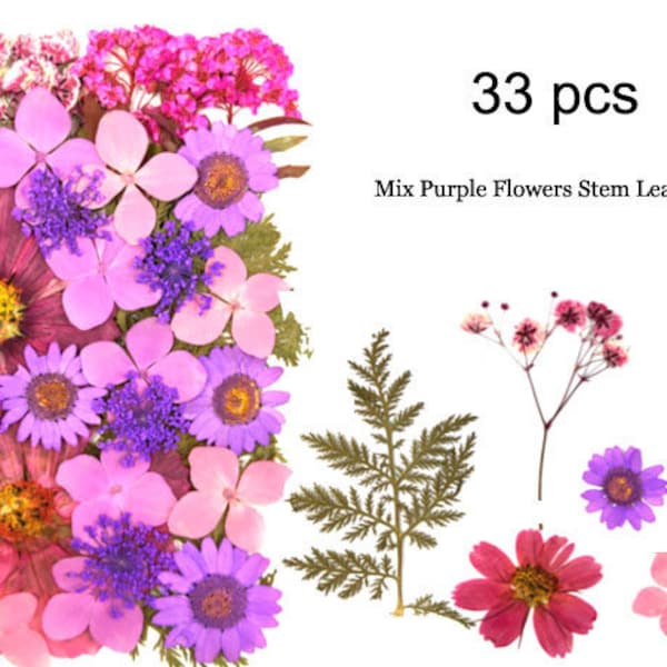 33pcs Dry Real Pressed Flowers,Mix Assorted Preserved Purple Wild Flower Stem Leaf Petal,Pressed Flat Dried Flower Preserved Flat Wildflower