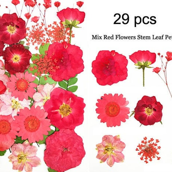 29pcs Dry Real Pressed Flowers,Mix Assorted Preserved Red Wild Flower Stem Leaf Petal,Pressed Flat Dried Flower Preserved Flat Wildflower