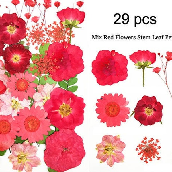 29pcs Fleurs pressées vraies sèches, mélange assortis préservés pétale de feuille de tige de fleur sauvage rouge, fleur séchée plate pressée préservée wildflower plat