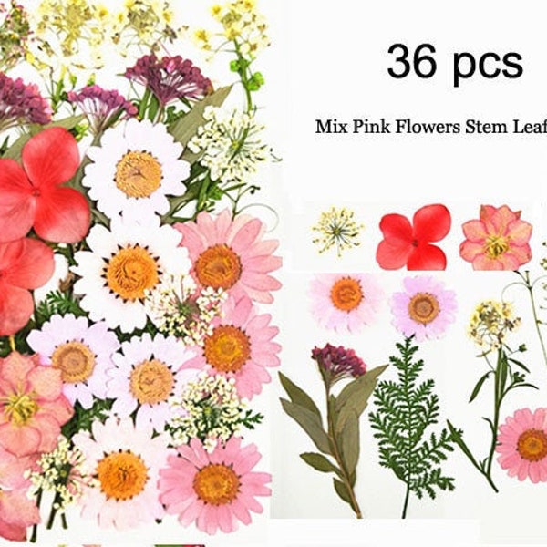 36pcs Dry Real Pressed Flowers,Mix Assorted Preserved Pink Wild Flower Stem Leaf Petal,Pressed Flat Dried Flower Preserved Flat Wildflower
