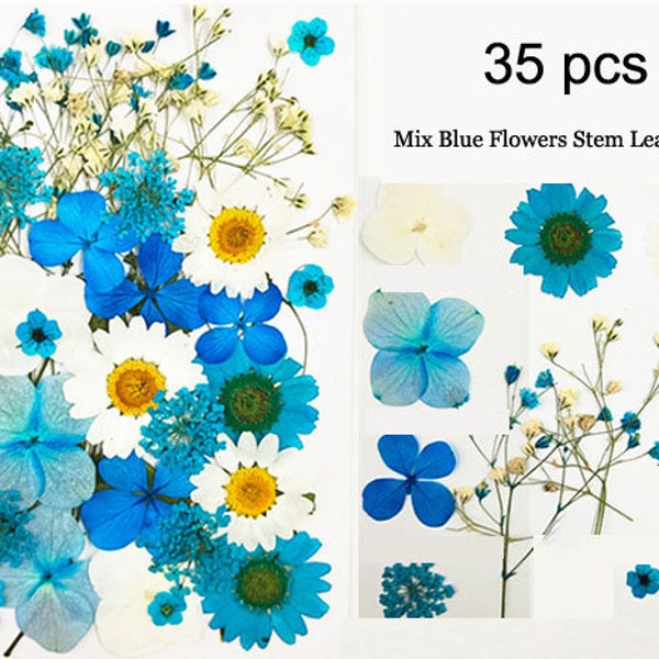 35pcs Fleurs pressées vraies sèches, mélange assortis préservés pétale de feuille de tige de fleur sauvage bleue, fleur séchée plate pressée préservée wildflower plat