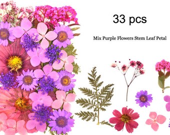 33PCS Purple Pressed Flowers: Real Dried Floral Embellishments