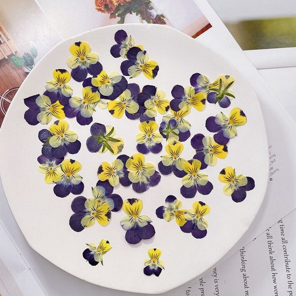 Pressed flowers12 pcs/Pack,Pressed flowers,purple yellow violets,dry Flowers,Pressed Flat Dried Flowers,Preserved Flat Wildflower