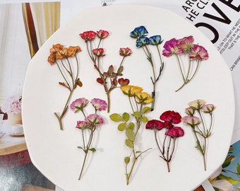 Gepresste Blumen, 12 Stück gemischt gepresste getrocknete Rosen, getrocknete Rosenblüten, rote Rosenknospen, flache rosa Rosen, echte blaue Rosen, trockene gelbe Rosen