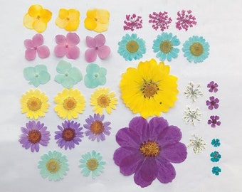 Pressed flowers, purple yellow Pressed flowers,34 PCS Set, purple  yellow mixed pack,Pressed Dried Flowers,purple dry flowers