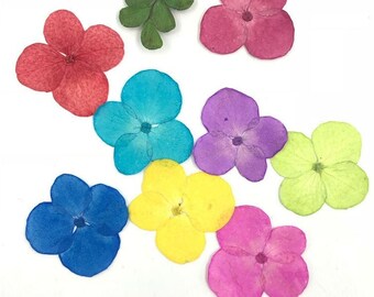 Pressed flower,Yellow,blue Flowers,Preserved Dry Hydrangea Flowers,Flat Flowers,Pressed Flat Dried Flowers Preserved Flat Wildflower