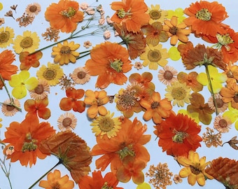 Pressed flowers, Orange Pressed flowers,20-100 PCS Set Orange mixed pack,Pressed Dried Flowers,Orange dry flowers