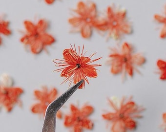 Pressed flowers,Orange Pressed Flowers 12 pcs/Pack,Small Orange Dry Flowers,Orange Dried Flowers,Pressed Flat Flowers Orange sandalwood