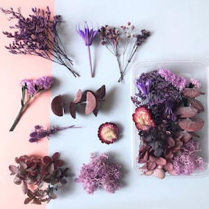 Trockenblumen,getrocknete Blumen,1er Set Trockenblumen,getrocknete Blumen,natürlicher Blumendekor,Mini getrocknete Blume