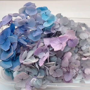 Dried Flower,Dried Flower Hydrangea Flowers 1 set,Mix Colors blue purple grey Dry Flowers,Dried Flowers,Dried Flowers  Hydrangea