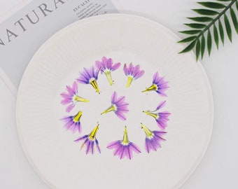 Purple Pressed Flowers: Dried Flat Wildflowers, 5 pcs