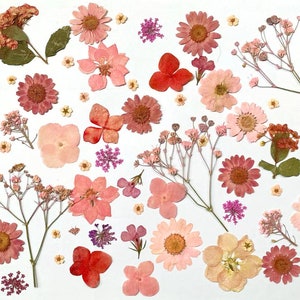 Pressed flowers, pink Pressed flowers,100 PCS Set pink mixed pack,Pressed Dried Flowers,pink dry flowers