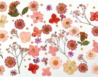Gepresste Blumen, rosa gepresste Blumen, 100 Stück Set rosa Mischpackung, gepresste Trockenblumen, rosa Trockenblumen