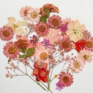 Pressed flowers, pink Pressed flowers,100 PCS Set pink mixed pack,Pressed Dried Flowers,pink dry flowers image 3