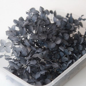 Peut inclure: Gros plan sur un bouquet de fleurs d'hortensia séchées de couleur grise. Les fleurs sont dans un récipient en plastique transparent.