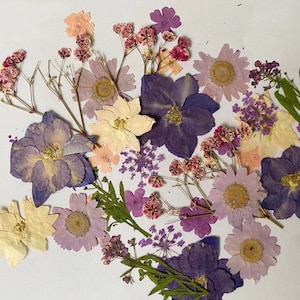 25PCS Pink & Purple Pressed Flowers: Dried Floral Embellishments