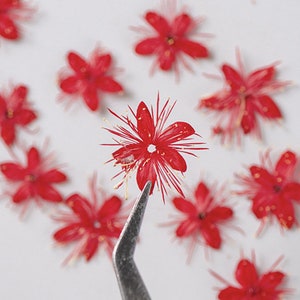 May include: A close-up of a red paper flower with gold accents. The flower is being held by tweezers and surrounded by other red paper flowers.