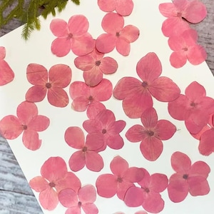 Pressed flowers,pink Hydrangea 12 pcs/Pack, Real Pressed dry Flowers,Pressed Flat Dried Flowers Preserved Flat Wildflower