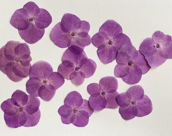 May include: A collection of twelve dried purple hydrangea flower petals. The petals are arranged in a random pattern on a white background.