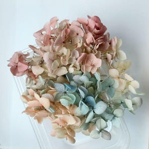 Dried Flower,Dried Flower Hydrangea Flowers 1 set,Mix Colors blue pink Dry Flowers,Dried Flowers,Dried Flowers  Hydrangea
