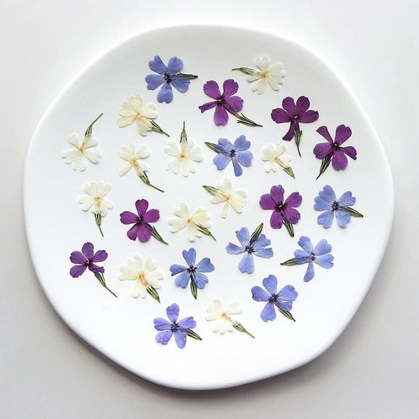 Pressed flowers, purple Pressed flowers,12 pcs/Pack, blue phlox Pressed Dried Flowers,white Dried Flowers(3-4cm)