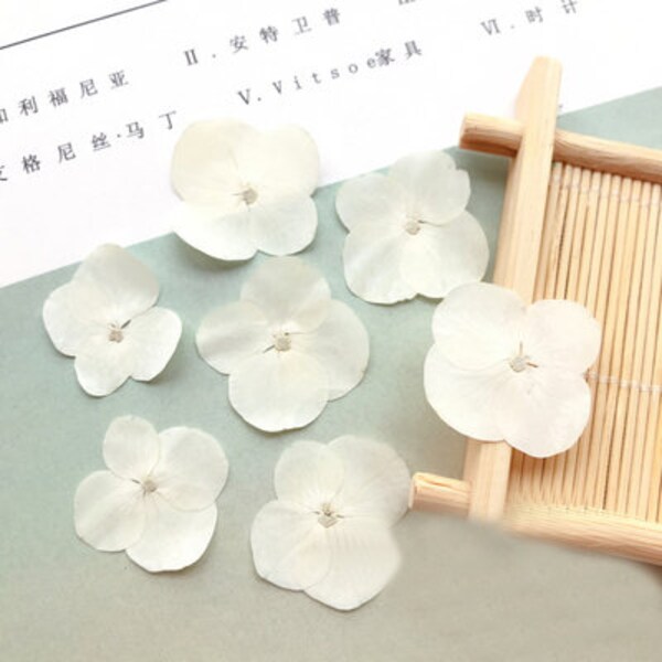 12 pcs/Pack, Pressed flowers, white Hydrangea Real Pressed dry Flowers,Pressed Flat Dried Flowers Preserved Flat Wildflower（1.5-2.5cm)