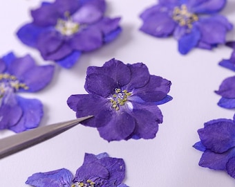 Pressed flowers12 pcs/Pack,Pressed flowers,purple Real Pressed dry Flowers,Pressed Flat Dried Flowers Preserved Flat Wildflower