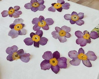 Purple Pressed Flowers (6 pcs/Pack) - Urena lobata Pressed Flowers for Resin, Jewelry