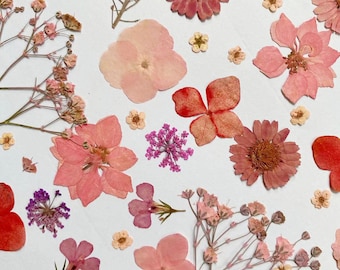 Pressed flowers, pink Pressed flowers, pink mixed pack,Pressed Dried Flowers,pink dry flowers