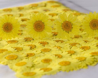 Pressed flowers,yellow Pressed flowers,12 pcs/Pack,yellow chrysanthemum,Pressed Dried Flowers,Chrysanthemum flower （2-3cm)