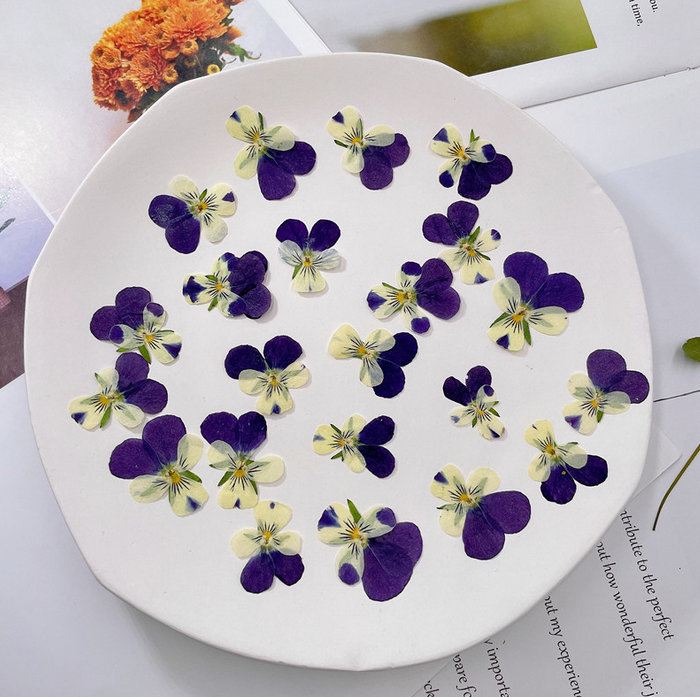 Violet A4 Flower Press, Personalized — Nature King